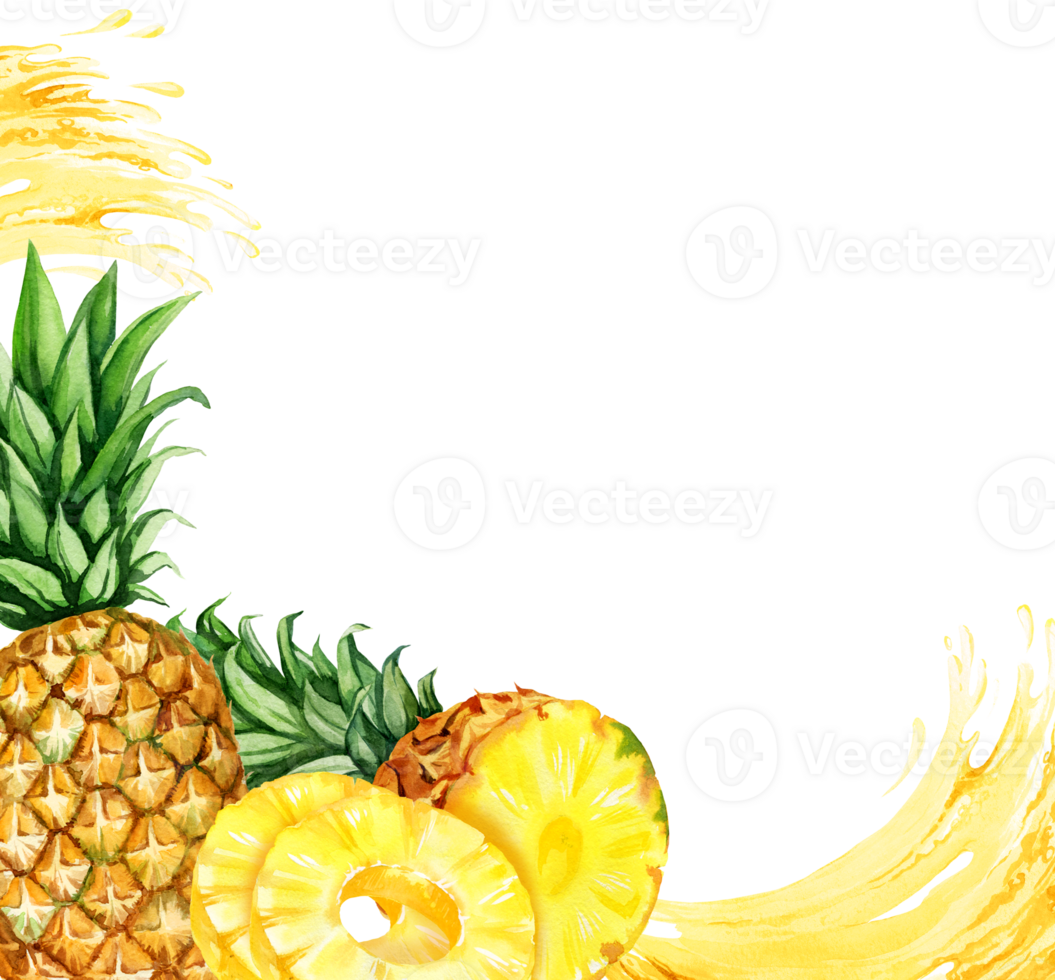 watercolor hand drawn frame with pineapple, half and slices ripe pineapple, pineapple rings and stream of juicy, sketch of yellow tropical fruit, food illustration png