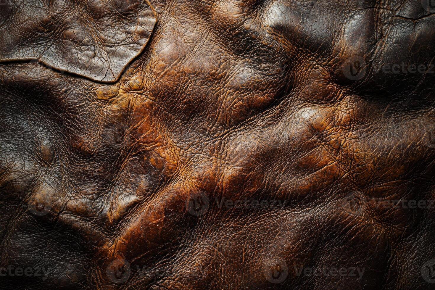 macro study reveals unique texture and character of aged leather rich dark brown tones. Dramatic lighting accentuates fine cracks and creases highlighting its unique history photo