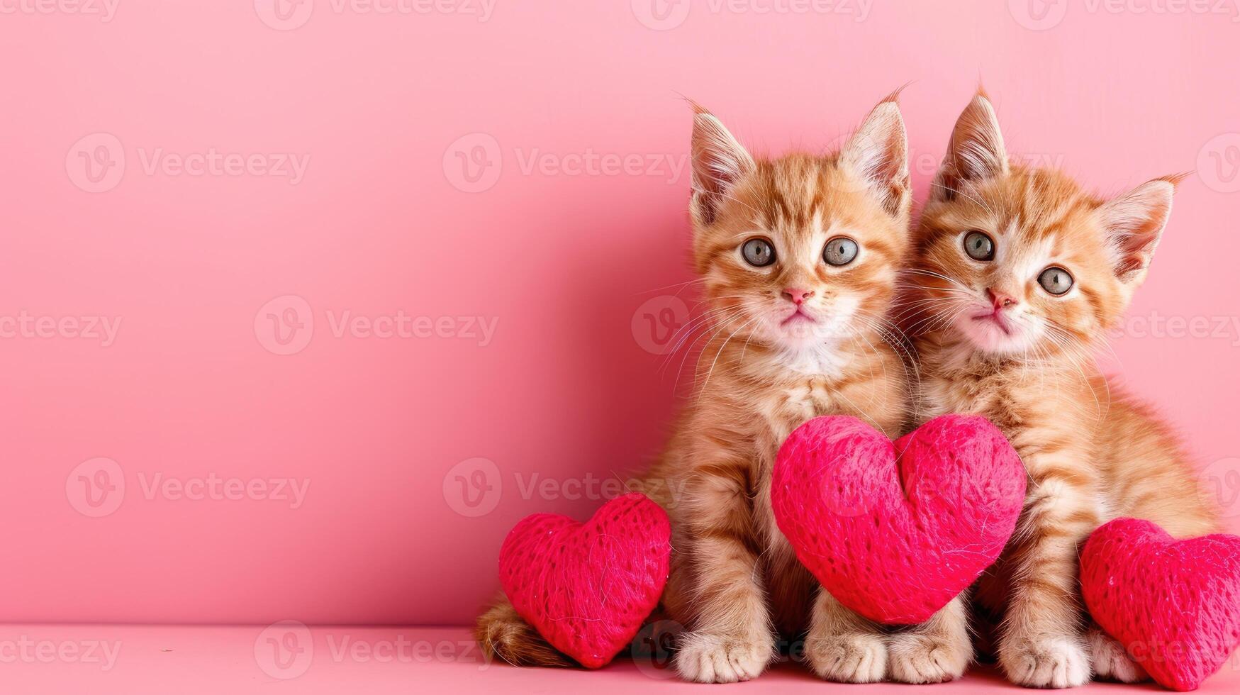 Valentines Day pets banner with copy space. Orange kittens sit closely together with soft heart, against a vibrant pink background. Love and romantic vibes with cute cats. photo