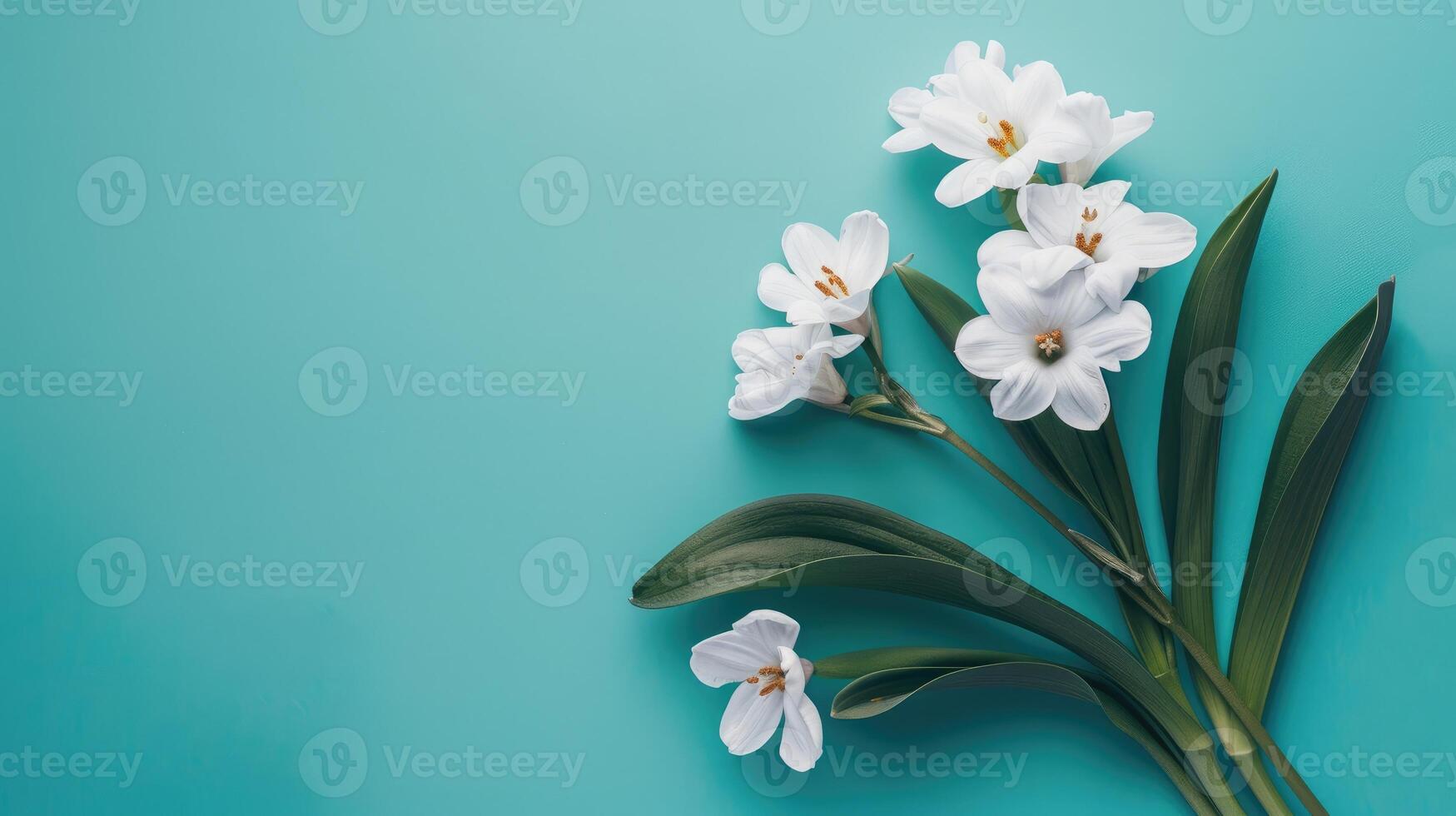 Fresh spring flowers on soft blue background with copy space. Delicate petals and lush green leaves, evoking a sense of renewal and beauty for springtime banner of sales greeting. photo
