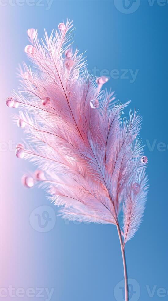 Pink feather with water droplets on light blue background, soft lighting photo
