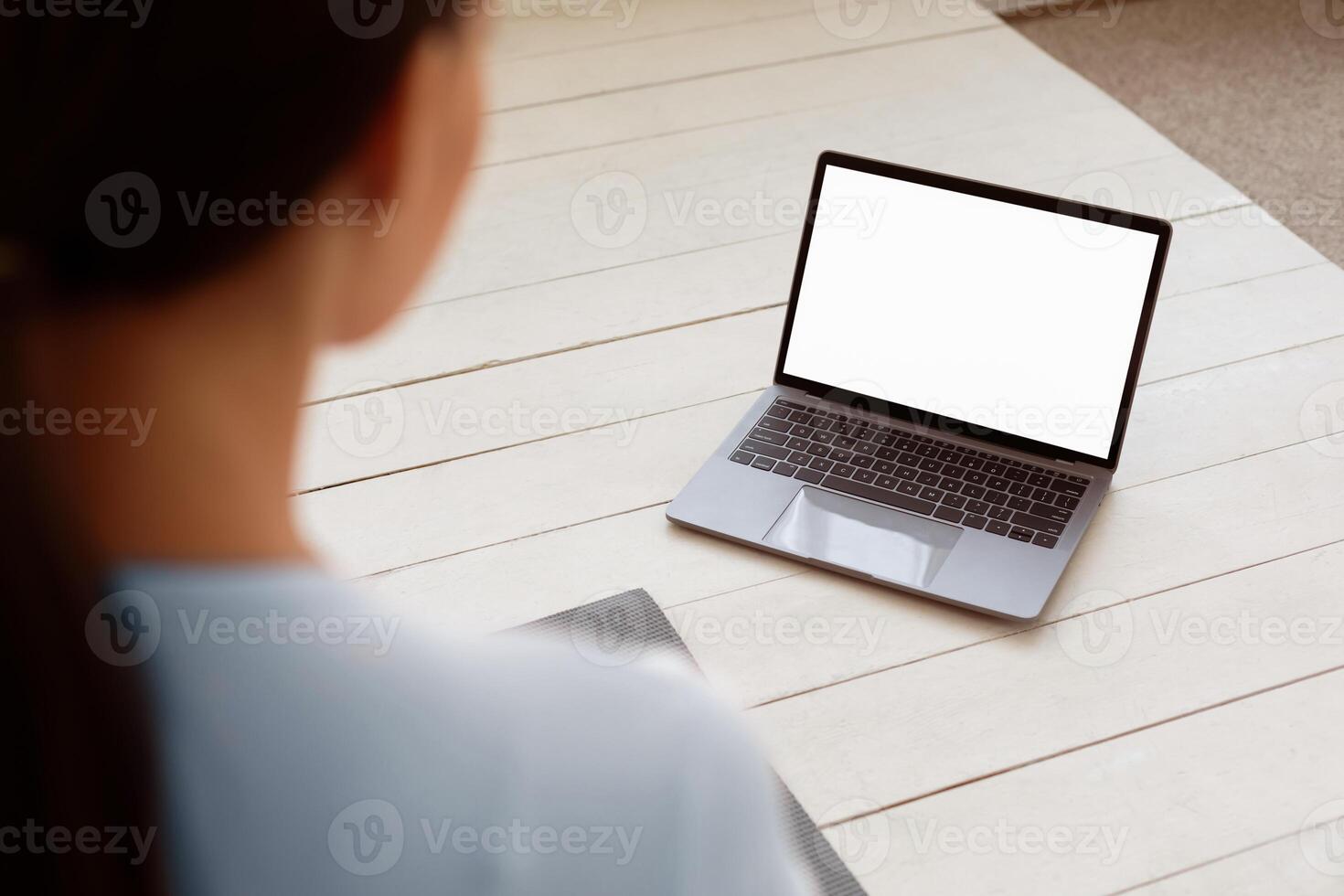 Young Lady Using Laptop With Blank Screen Browsing Internet Sitting On Sofa At Home. Selective Focus, Mockup photo