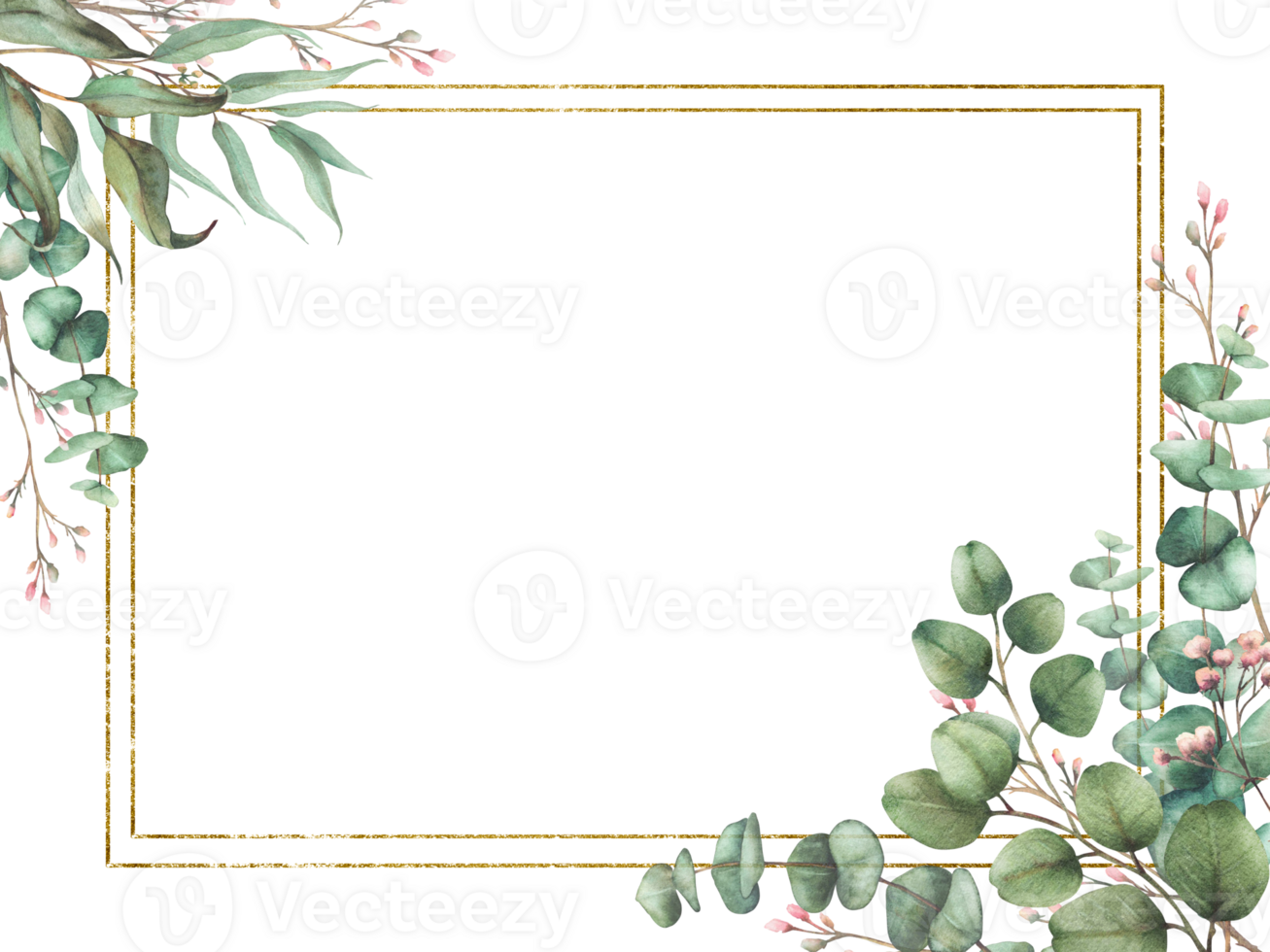 Eucalyptus plant and Gypsophila flower twig with gold framed. Watercolor floral rectangular template. Green branches with round leaves and pink buds. Hand drawn illustration isolated from background png