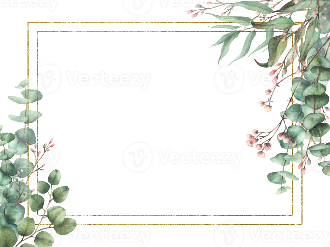 Watercolor Eucalyptus plant and Gypsophila flower twig with gold framed. Floral rectangular template. Green branches with round leaves and pink buds. Hand drawn illustration isolated from background png