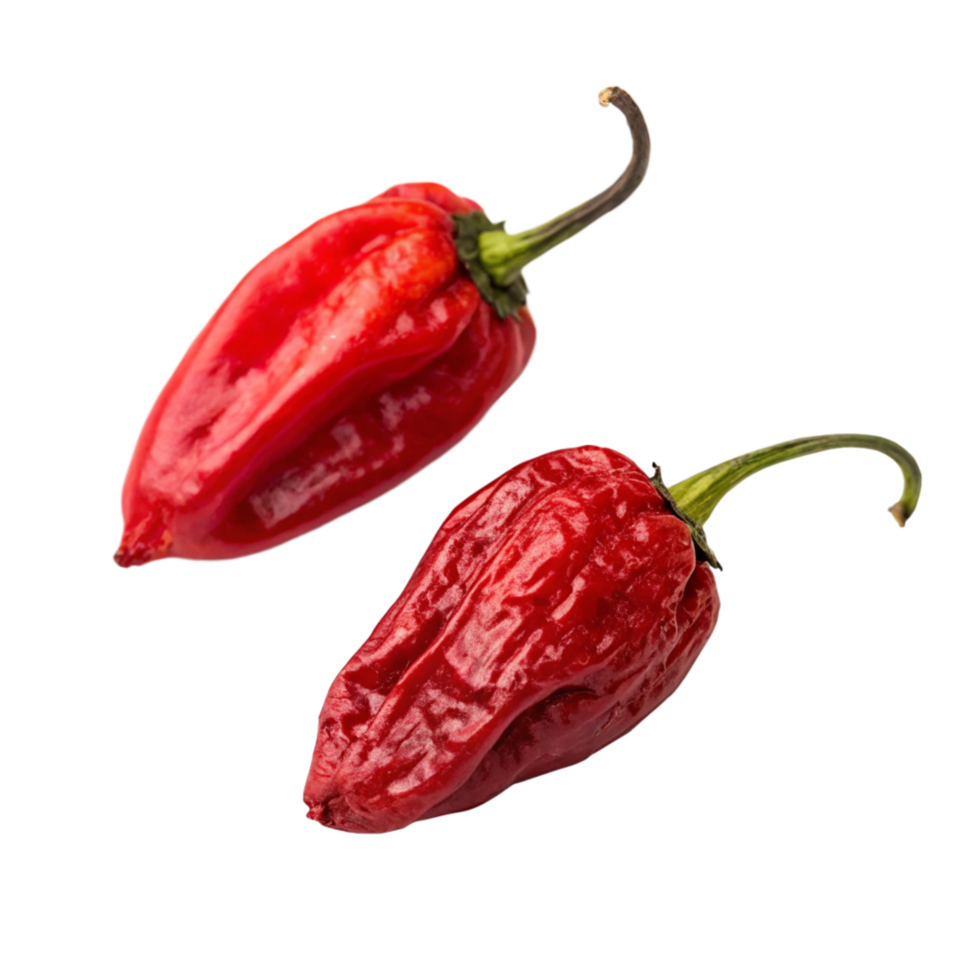 two red chili is isolated on transparent background png