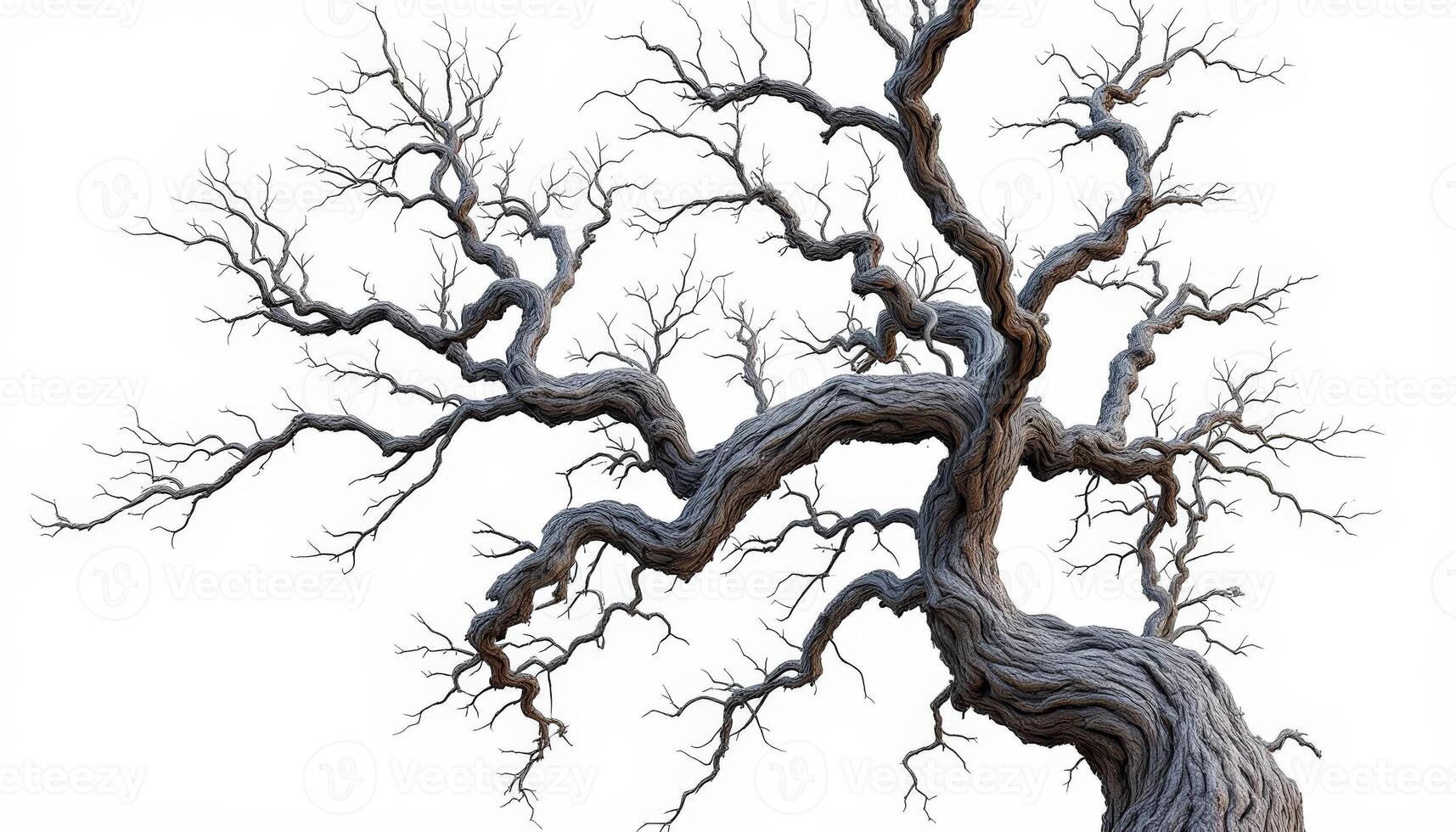 The Twisted Resilience of a Winter Tree Against a Stark White Canvas photo