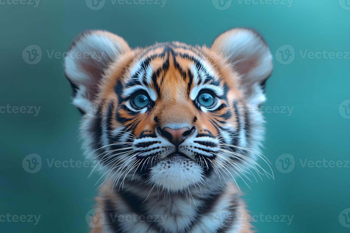 Adorable Tiger Cub Gazing with Curious Eyes in Natural Habitat photo