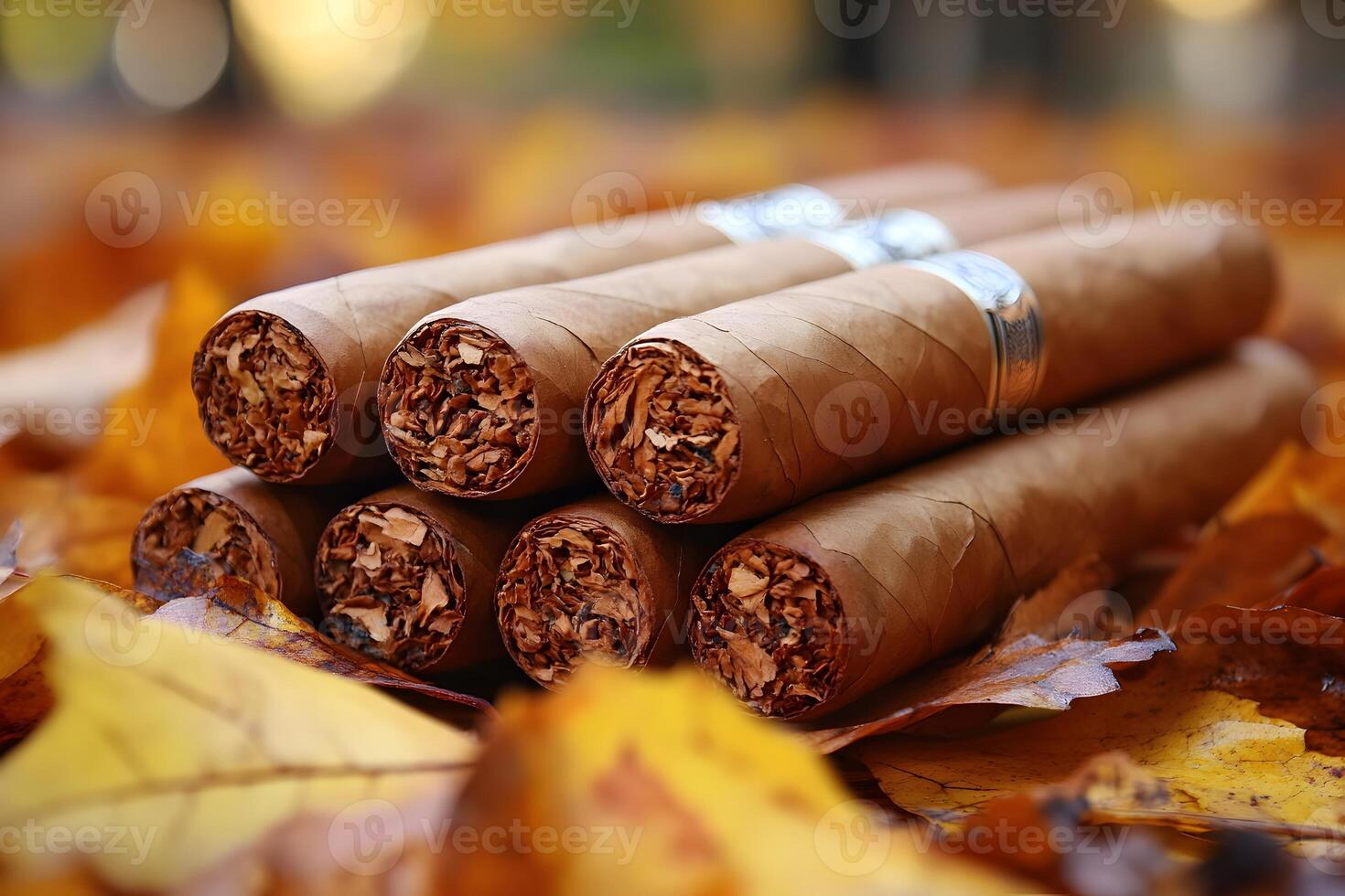 Autumn-Themed Cigars on Fallen Leaves for a Rustic, Seasonal Setting photo