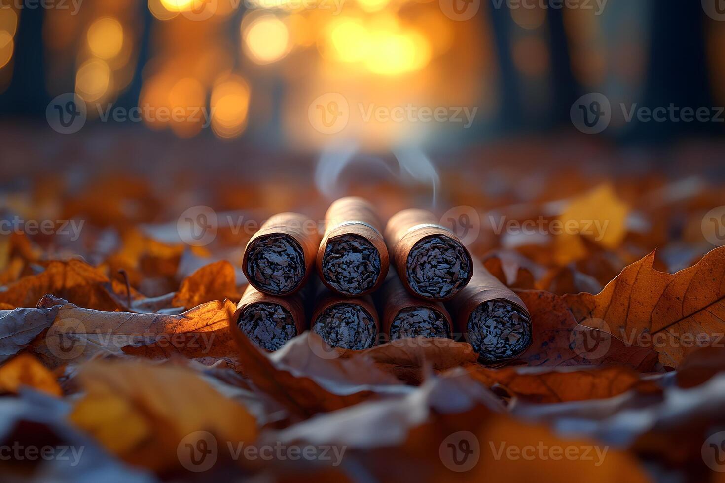 Autumn Serenity Cigars Resting in Fallen Leaves at Sunset photo