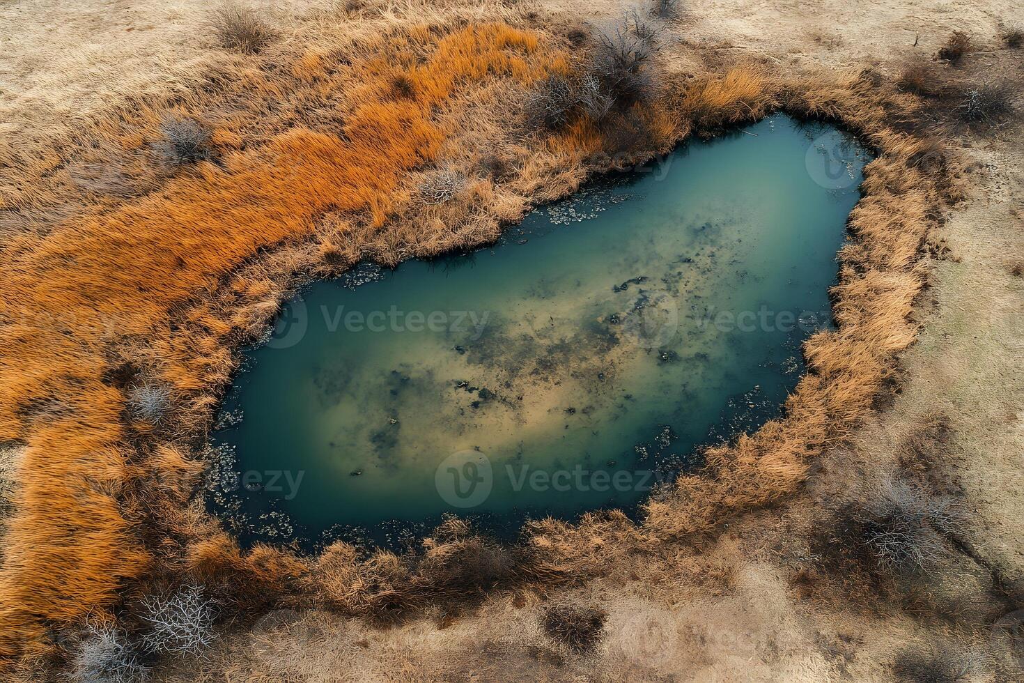 Aerial View of Tranquil Lake Surrounded by Autumn Grasses for Nature and Landscape Designs photo