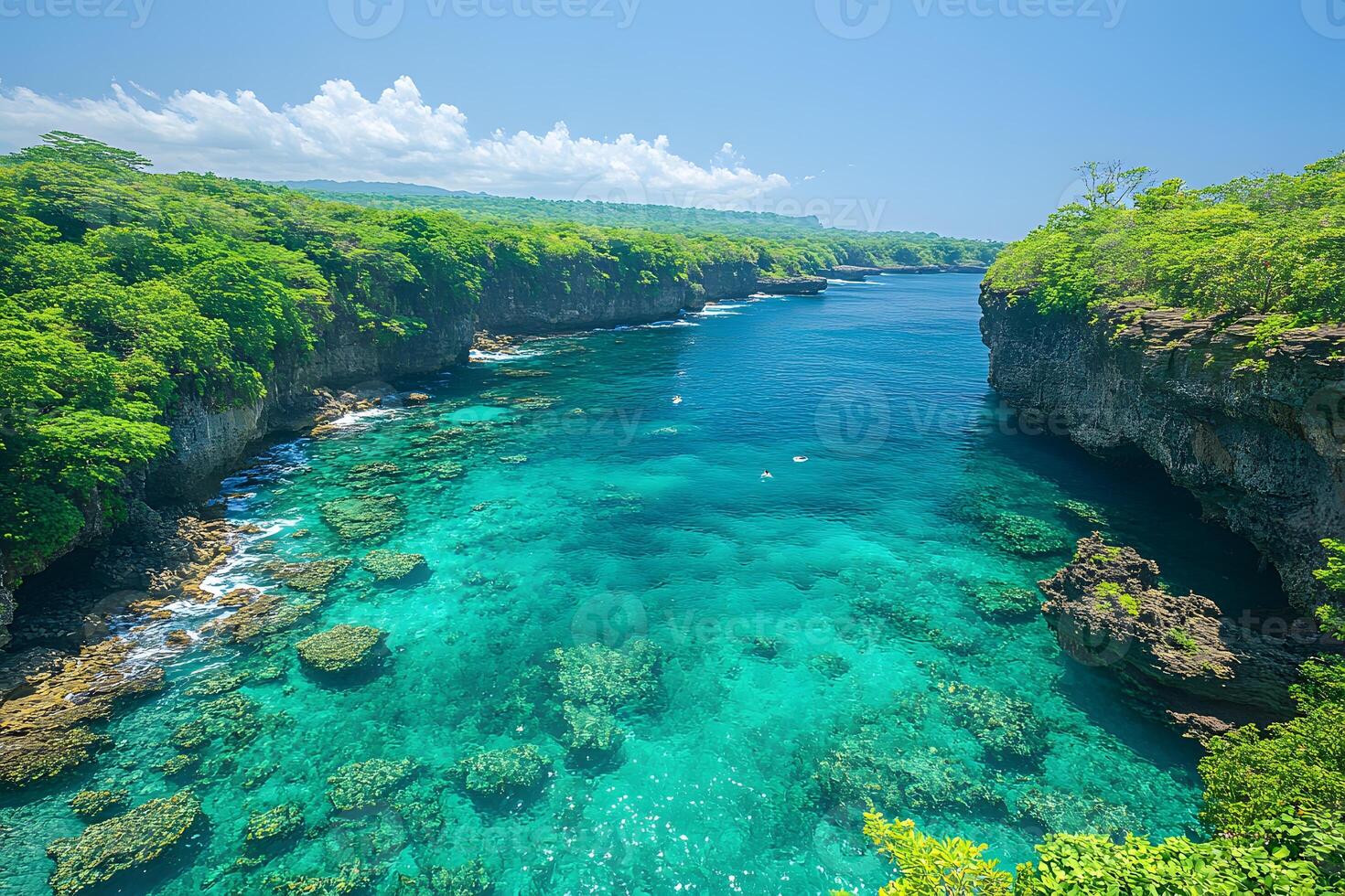Tropical Coastal Paradise with Vibrant Coral Reefs and Lush Cliffs photo