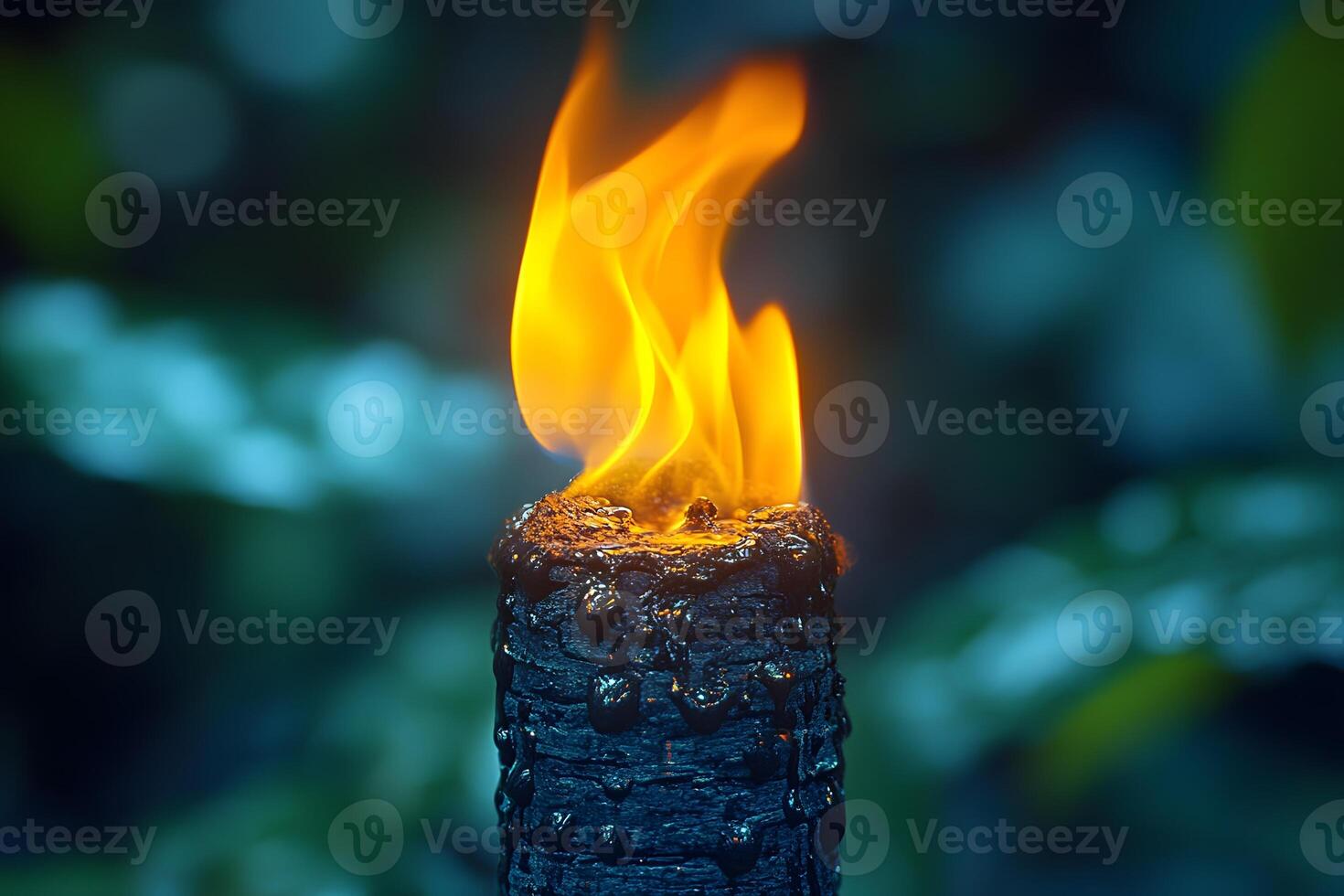 Mystical Torch Flame in Dark Forest for Adventure and Exploration Themes photo