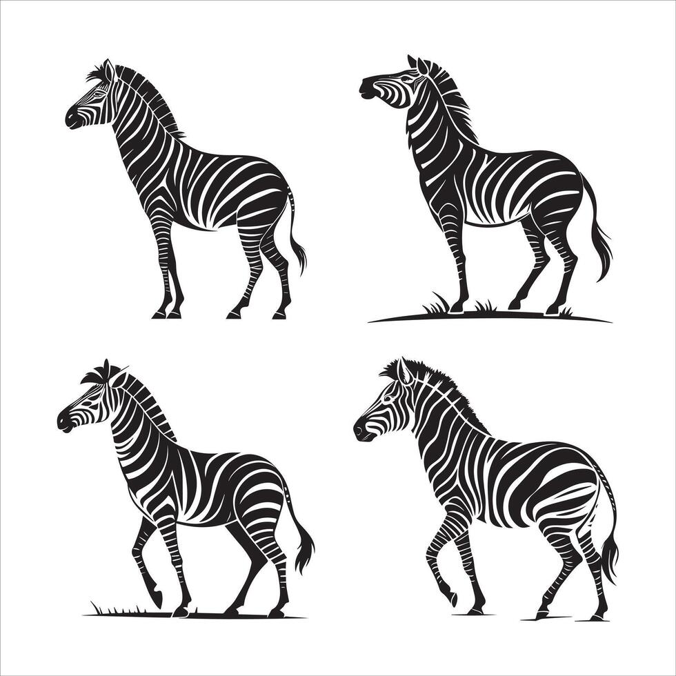 Bold Zebra Illustration vector