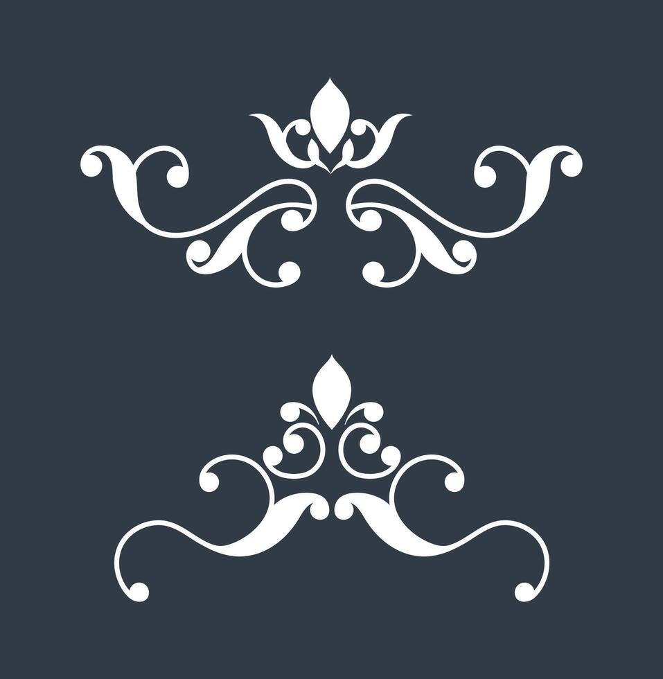 Divider, border floral elements for design invitation vector