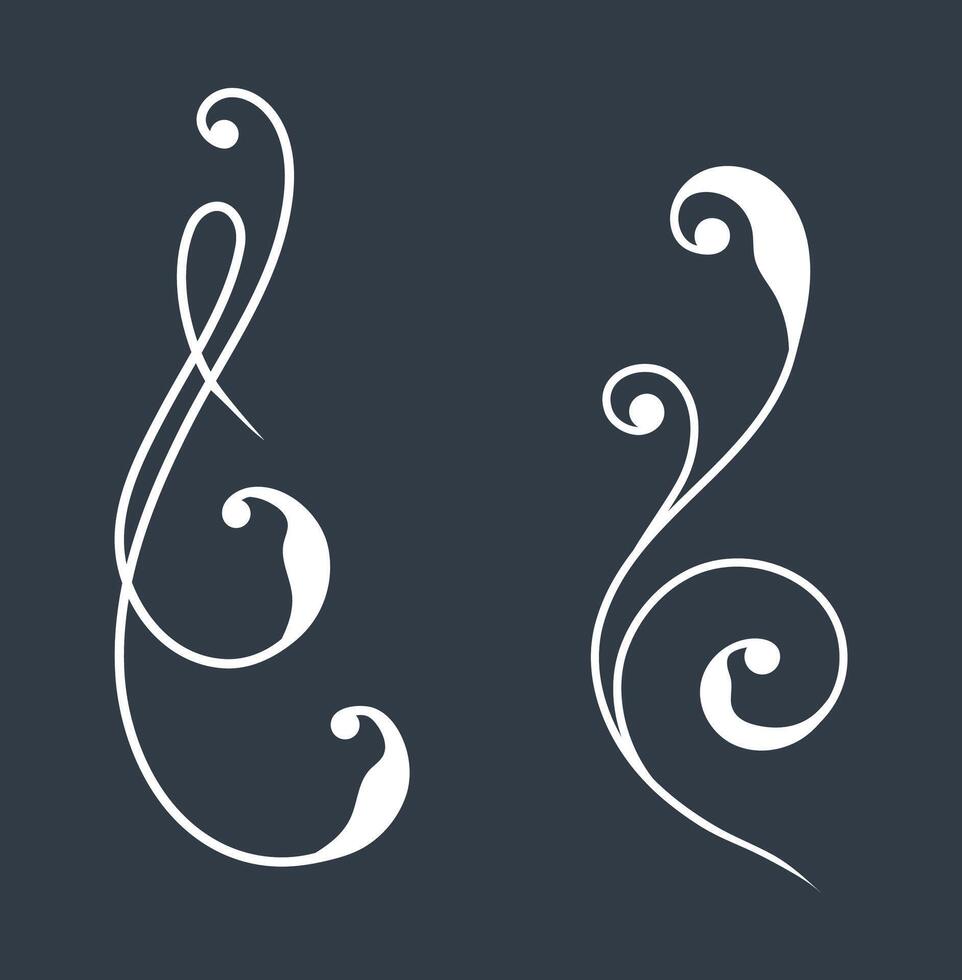 boutiques floral swirls elements for design invitations vector