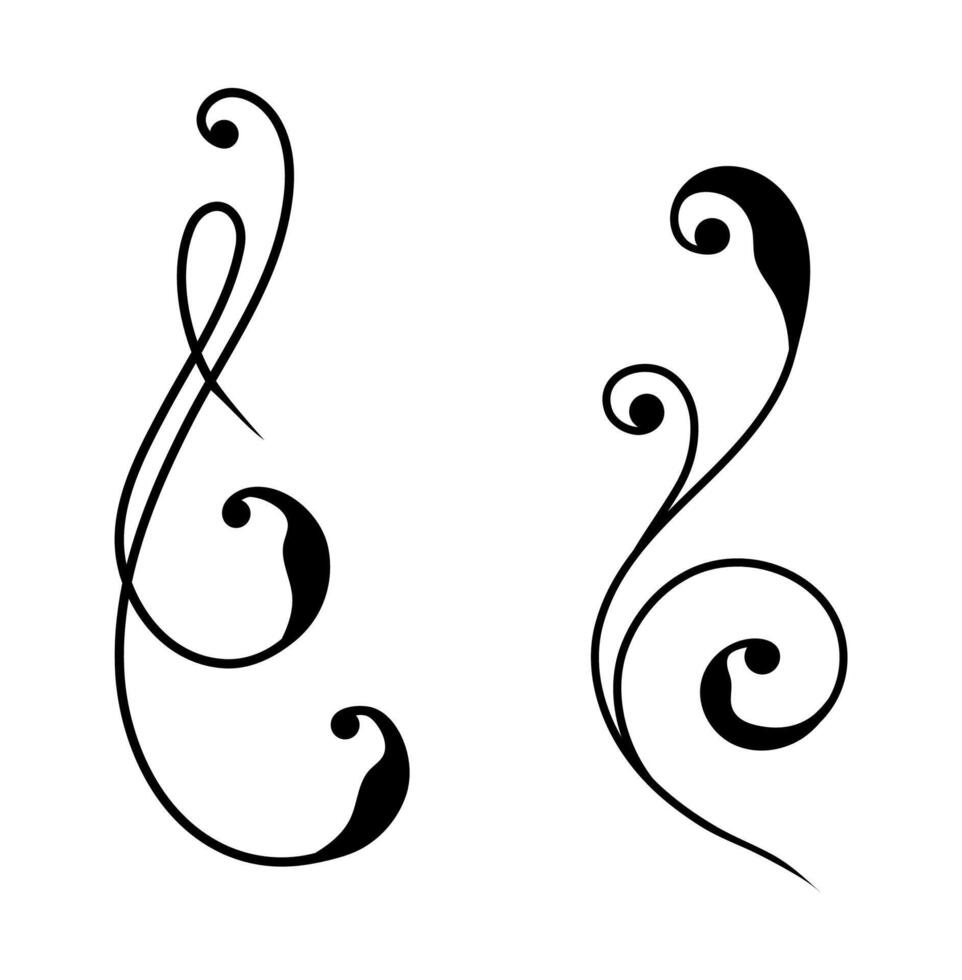 boutiques floral swirls elements for design invitations on black colour vector