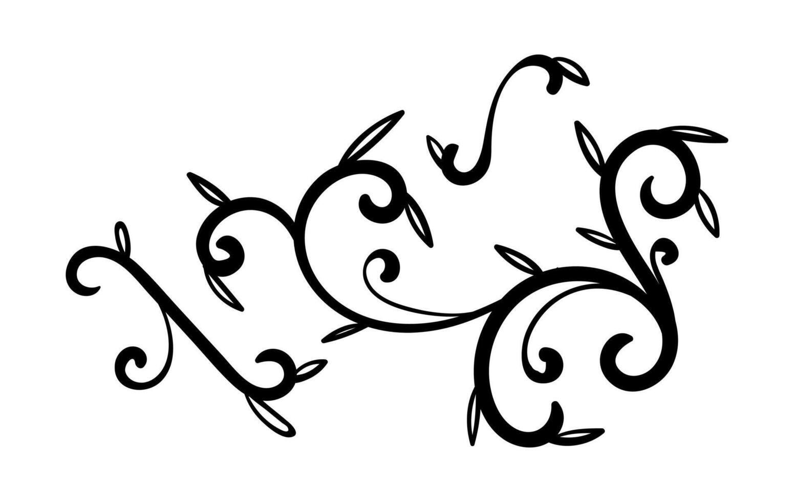 Wedding ornaments collection to decorate on white and black color vector