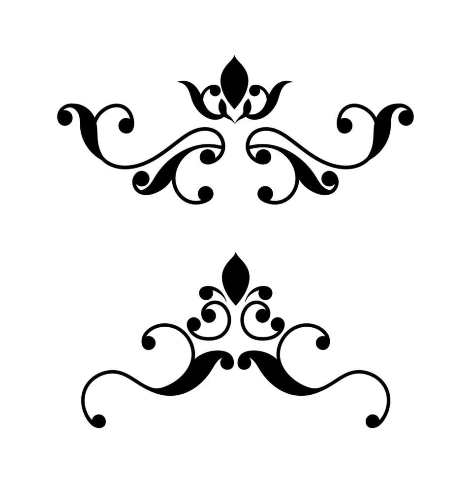 Divider, border floral elements for design invitation on black colour vector