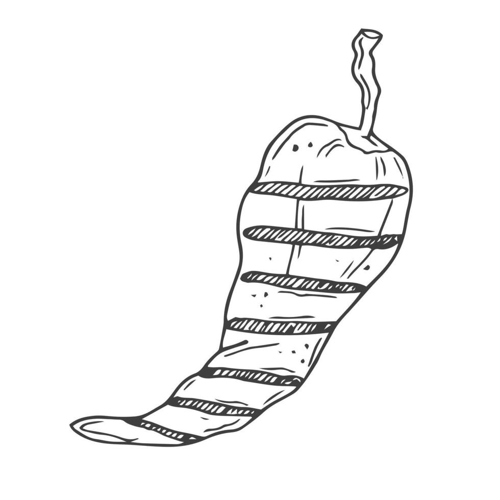 Hand-drawn sketch of half grilled bell pepper. Vintage illustration. Decorations for the menu of cafes and labels. Engraved image. vector