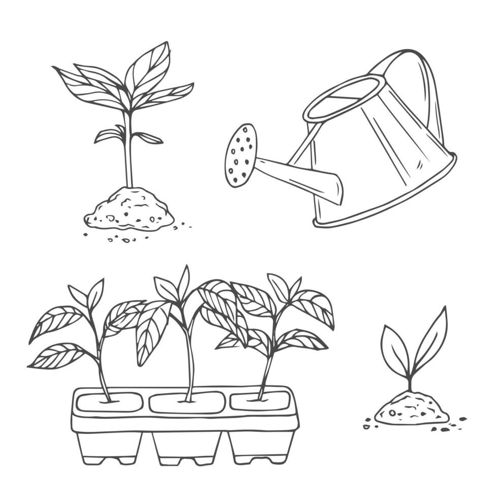 Sprouts set in sketch style. Garden vector