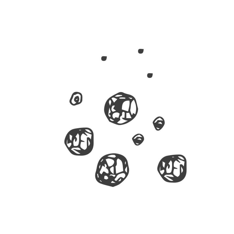 Black pepper seasoning. Hand drawn ink sketch. . vector