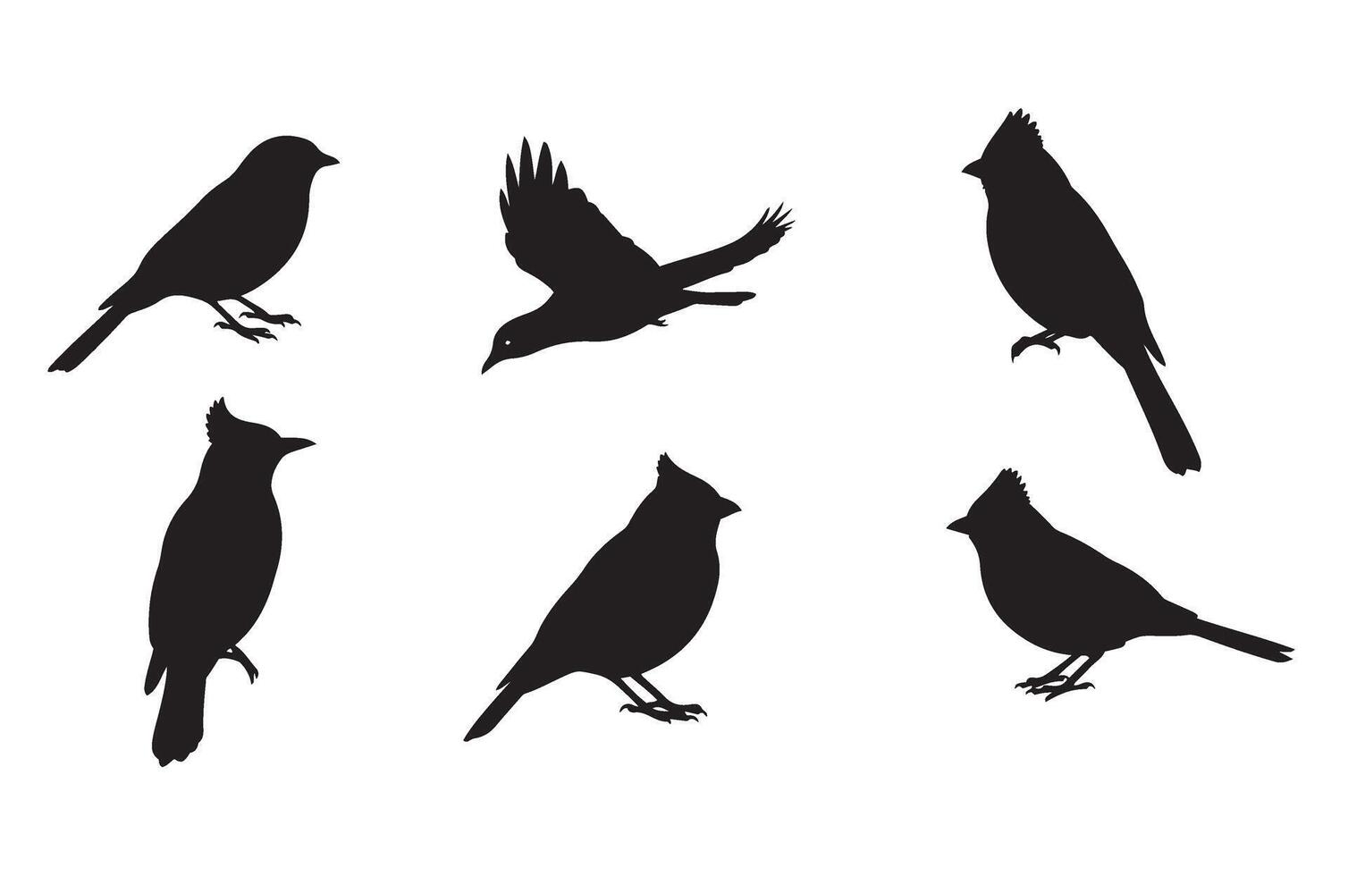 Set of Black Bird Silhouettes for Art Projects vector
