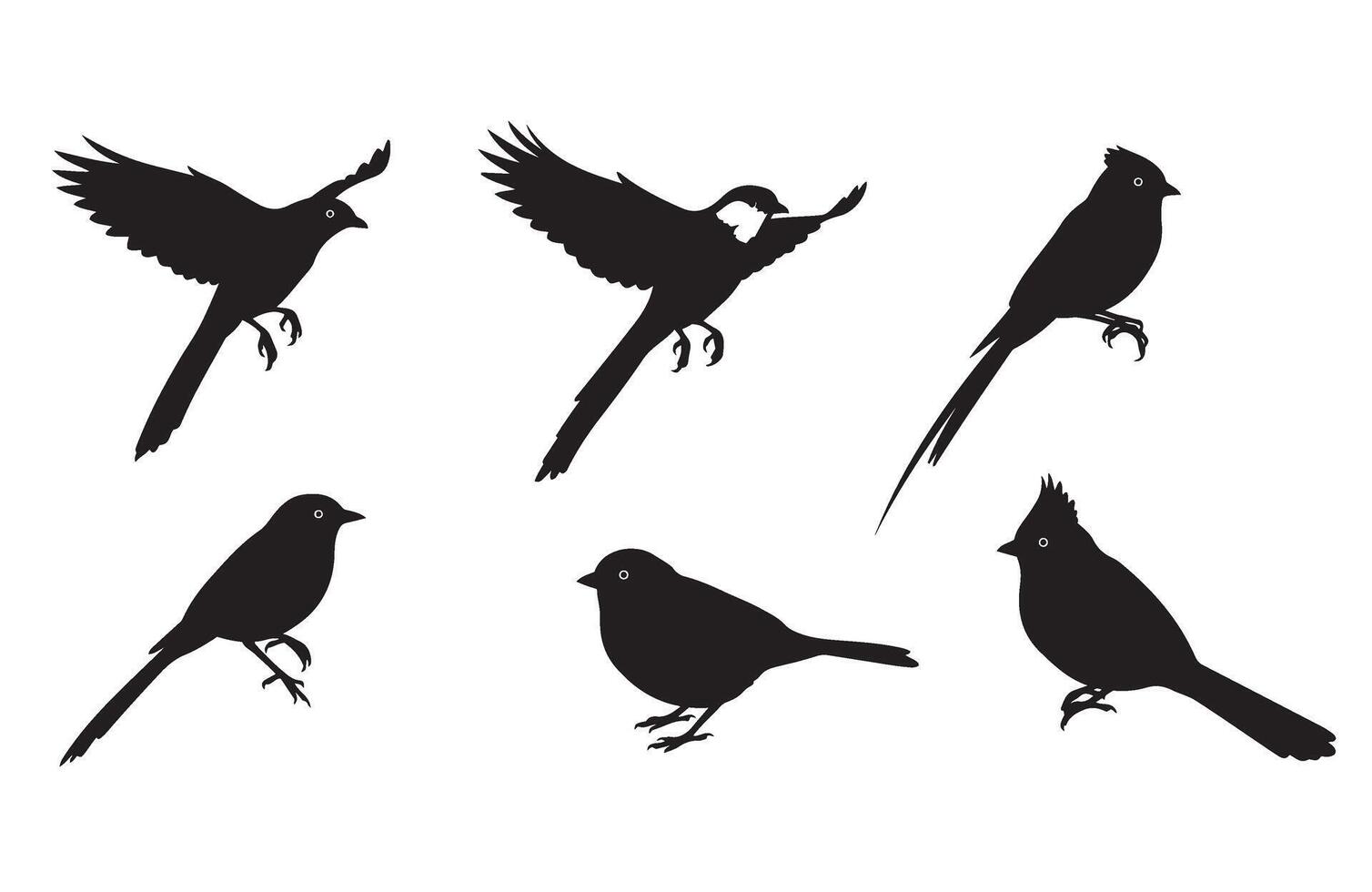 Bird Shapes for Nature Design vector
