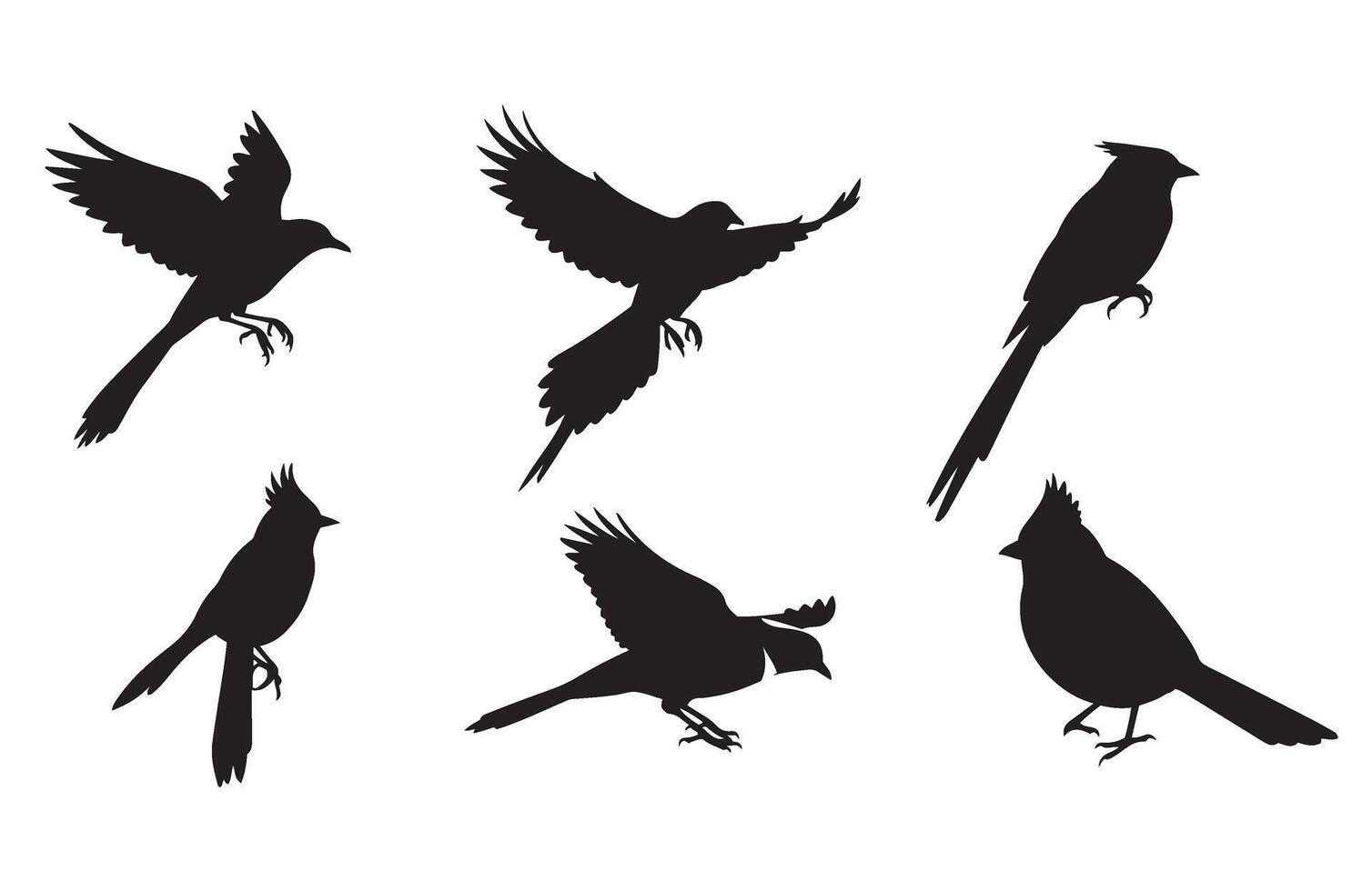 Bird Silhouettes Collection Design vector