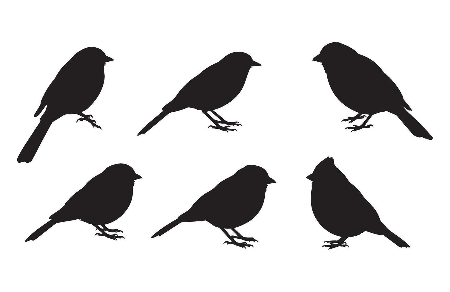 Bird Shapes Silhouette Set for Nature Themes vector