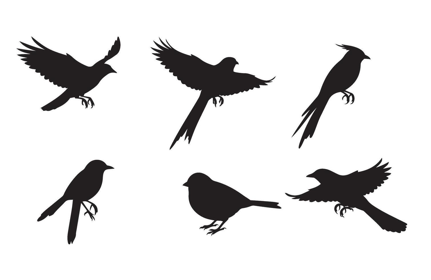 Modern Bird Silhouettes for Creative Idea vector