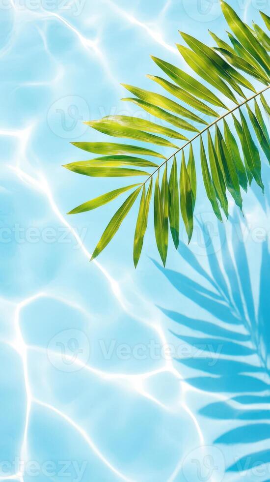 Lush palm leaves fronds mirroring turquoise water pool, casting peaceful summer reflections across luminous tropical seascape with serene vacation vibes travel background copy space for your text photo