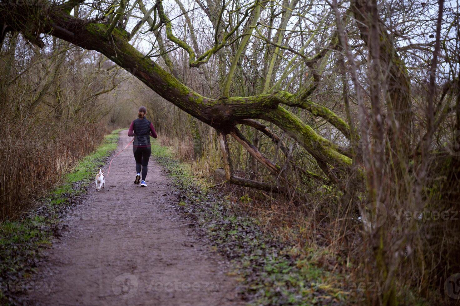 Woman and a dog running in the park photo