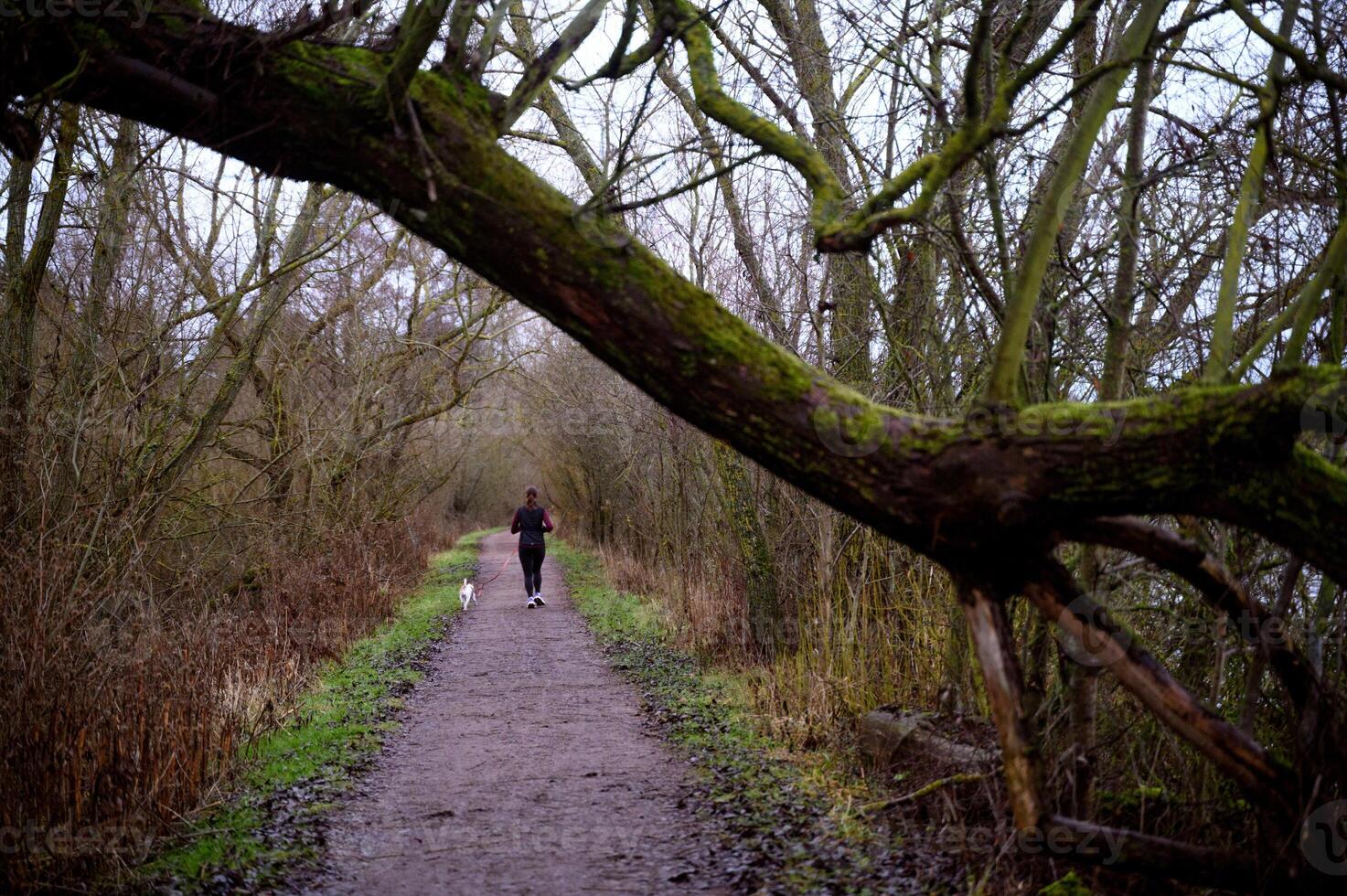Woman and a dog running in the park photo