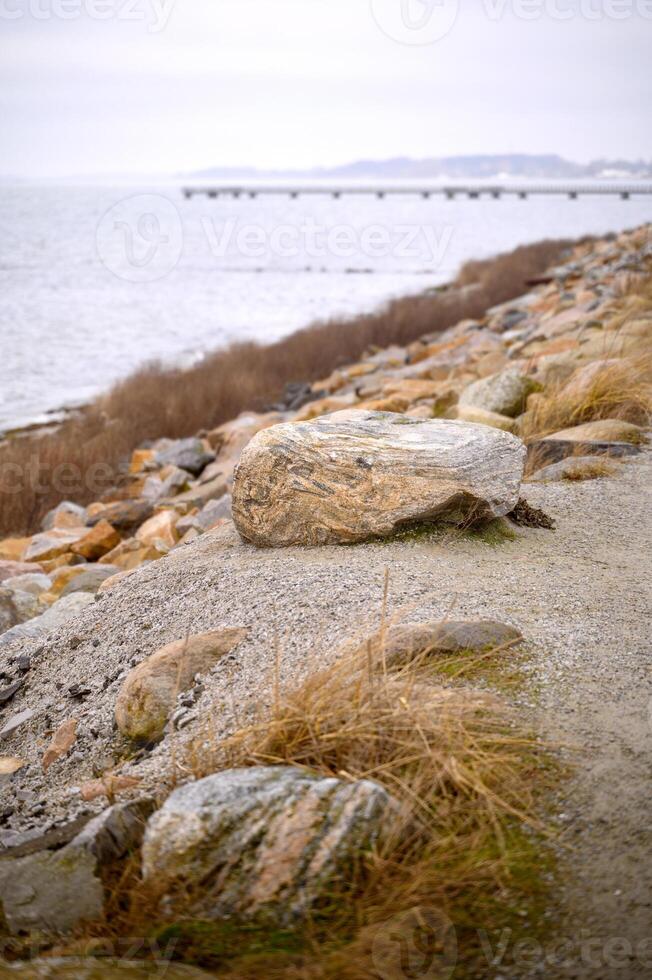 A beach with pebbles and rocks in winter in Sweden 2025 photo