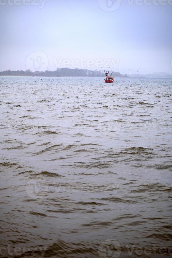 A red fishermans boat in the sea and seagulls flying round it. Lomma, Sweden, 2025 photo