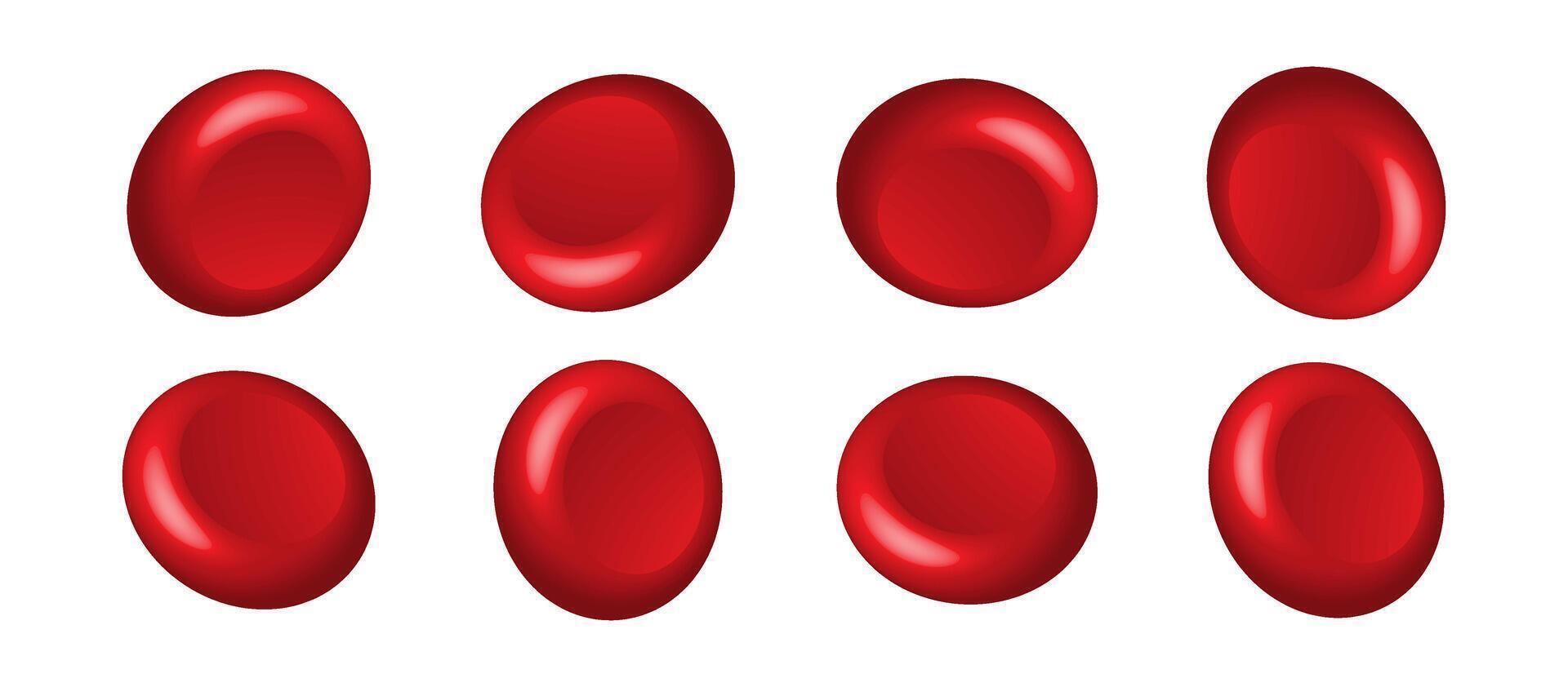 Set of 3D blood cell icon.Human red angle erythrocytes artery medical science realistic close up. Macro biology research laboratory concept vector