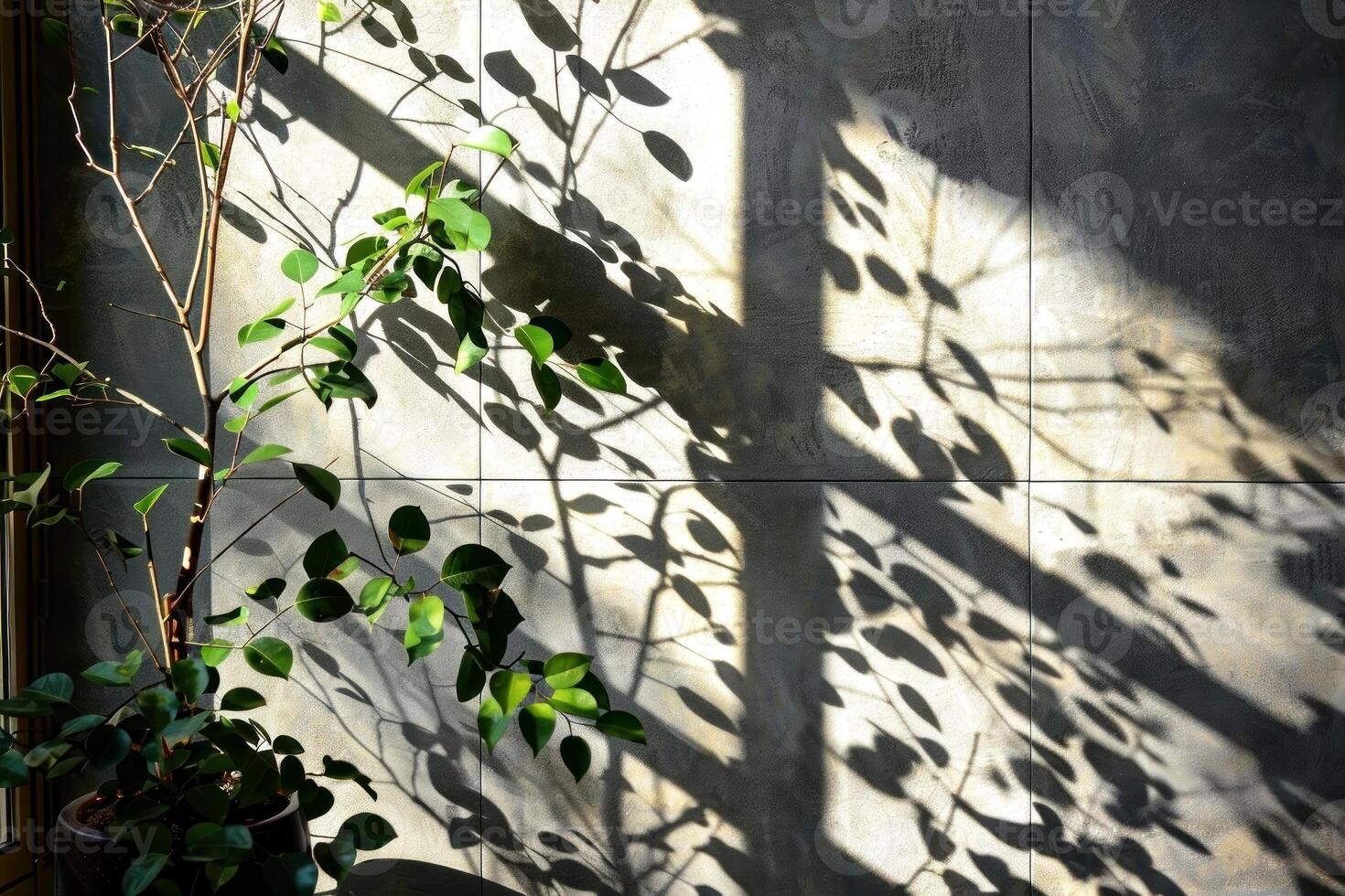 Ethereal shadows and vibrant leaves dance on a sunlit wall, creating a serene and captivating scene photo