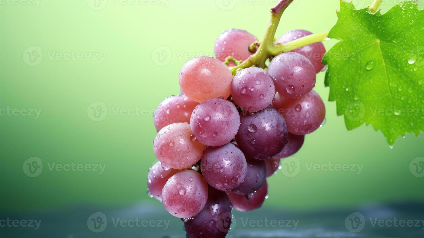 A bunch of red grapes with water droplets and a green leaf photo