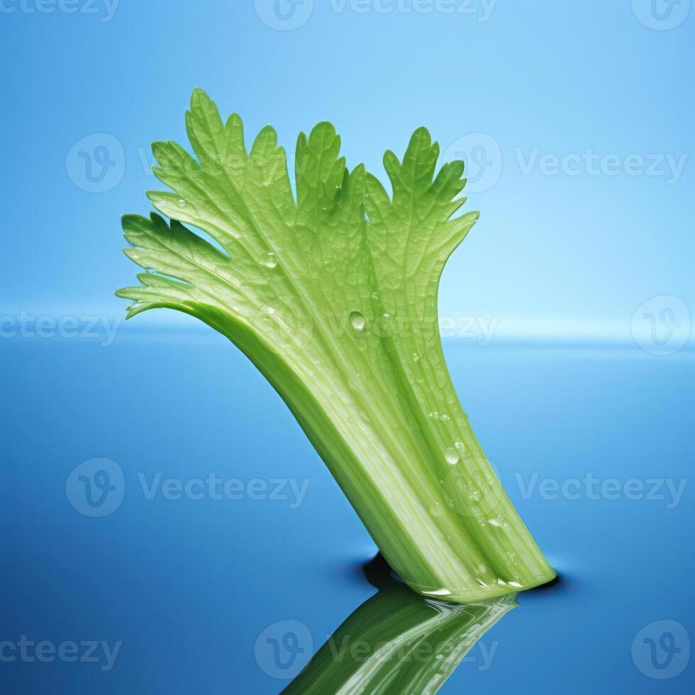 A stalk of celery with water droplets on it. photo