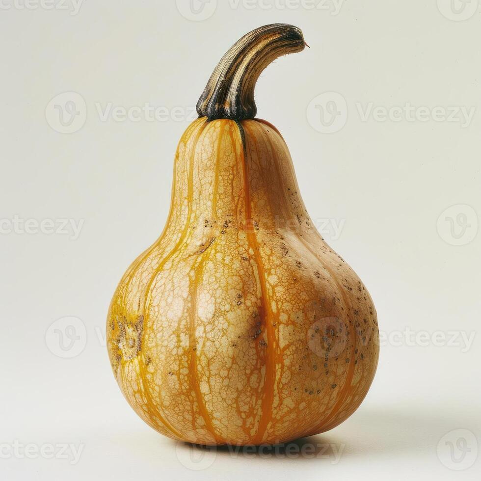 A close-up photograph of a pumpkin or squash with light orange skin and dark spots. photo