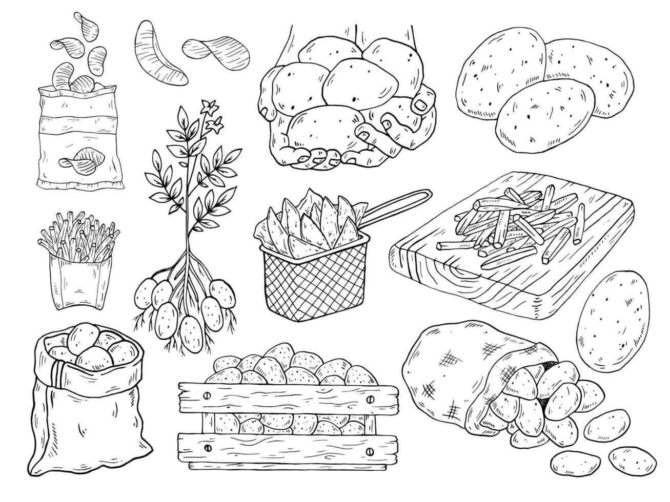 Graphics black outline potato set with potato, bag of potatoes, potato bush, hands with potatoes, french fries on a board, chips in a pack, potato slices, potatoes in a wooden box. vector