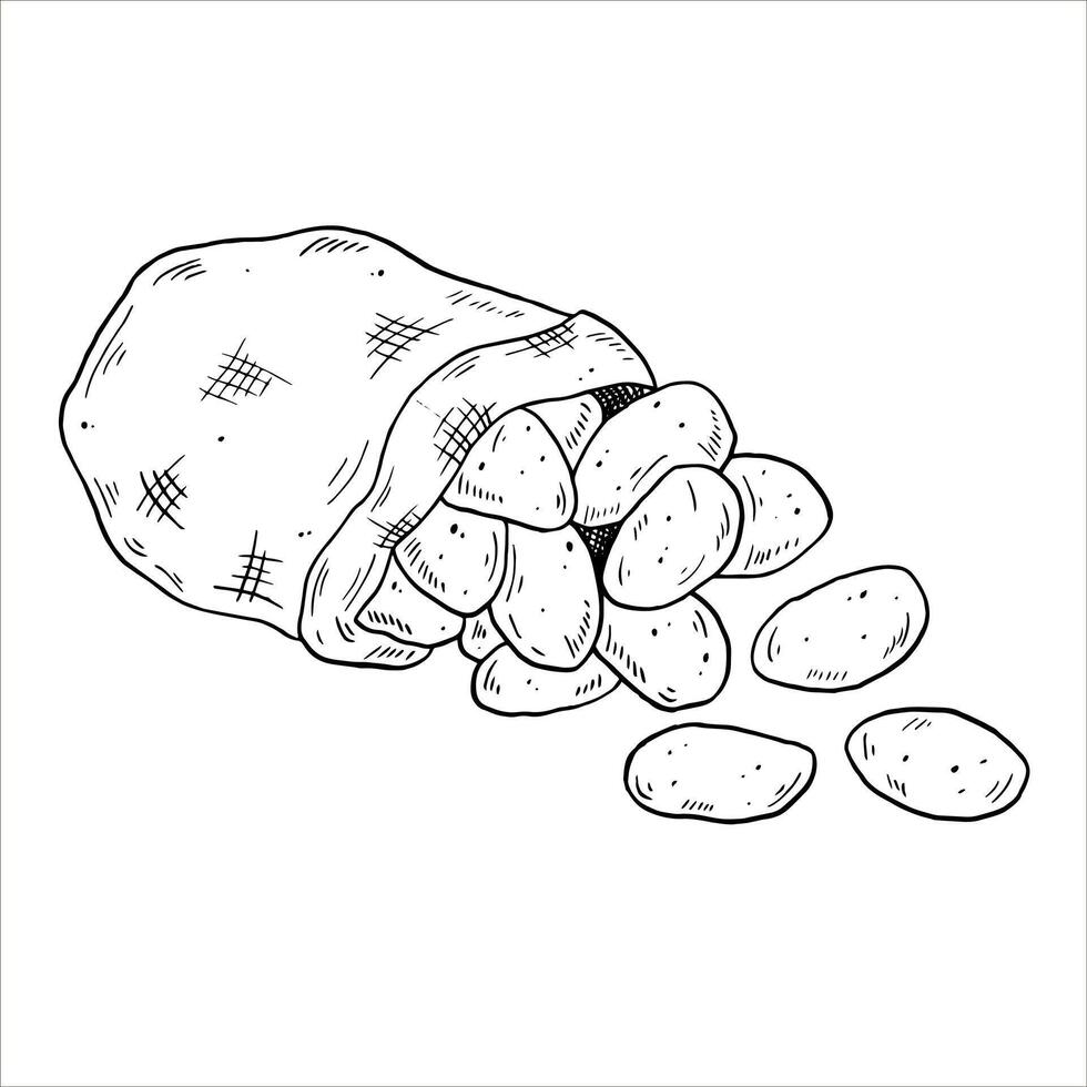 Graphics black outline open lying sack of potatoes. Two versions - with and without filling vector