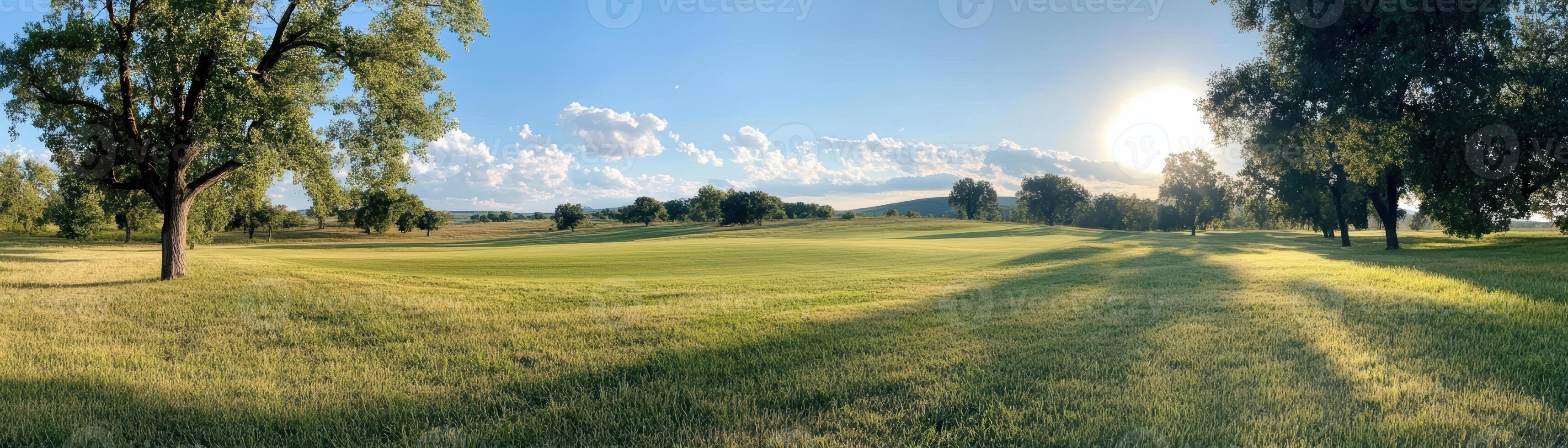 A large field with trees in the background and a sun in the sky photo