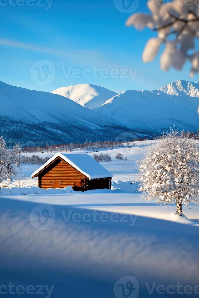 A small cabin is surrounded by snow and trees photo