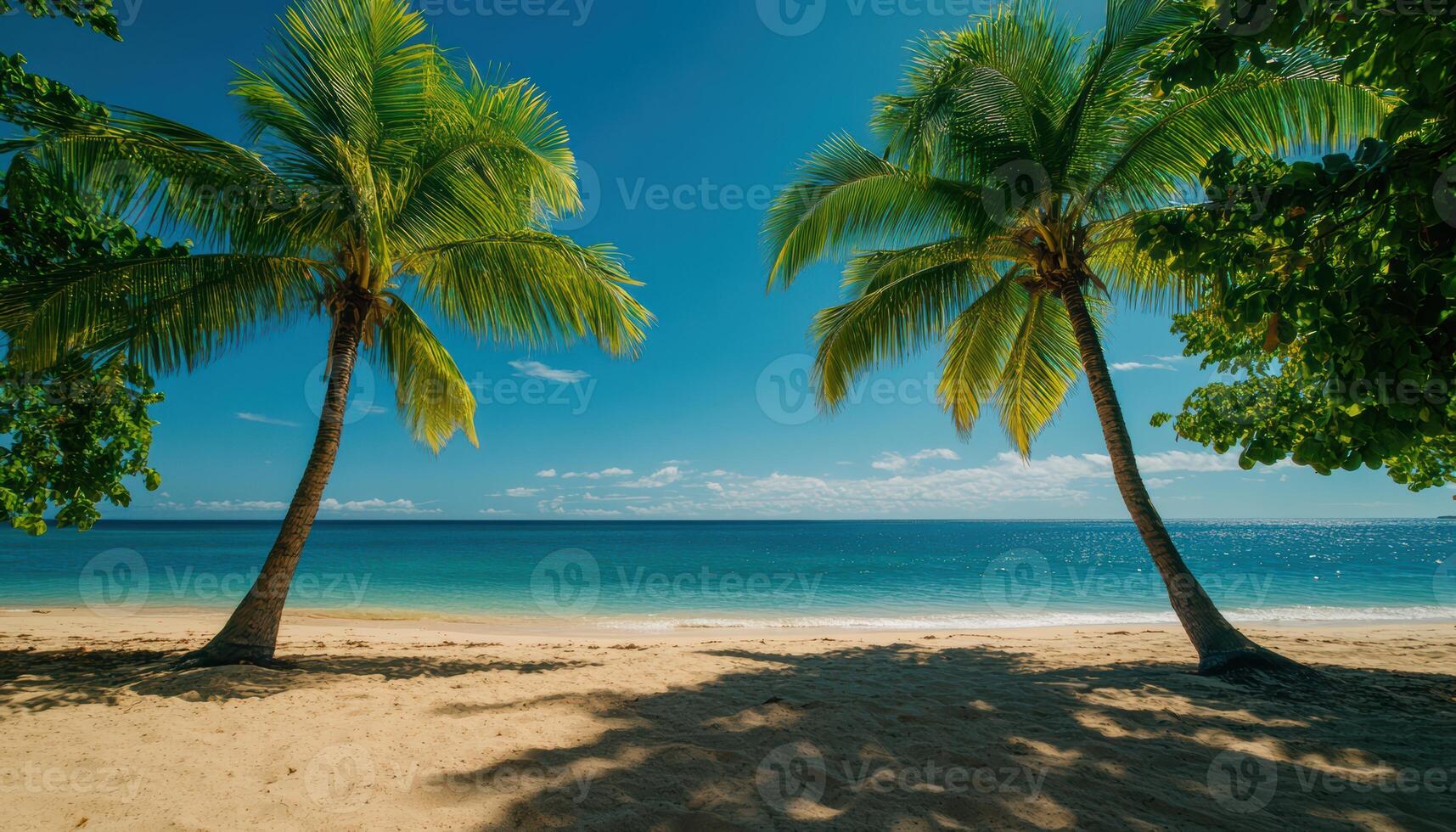 Two palm trees are on The beach with a clear blue sky photo