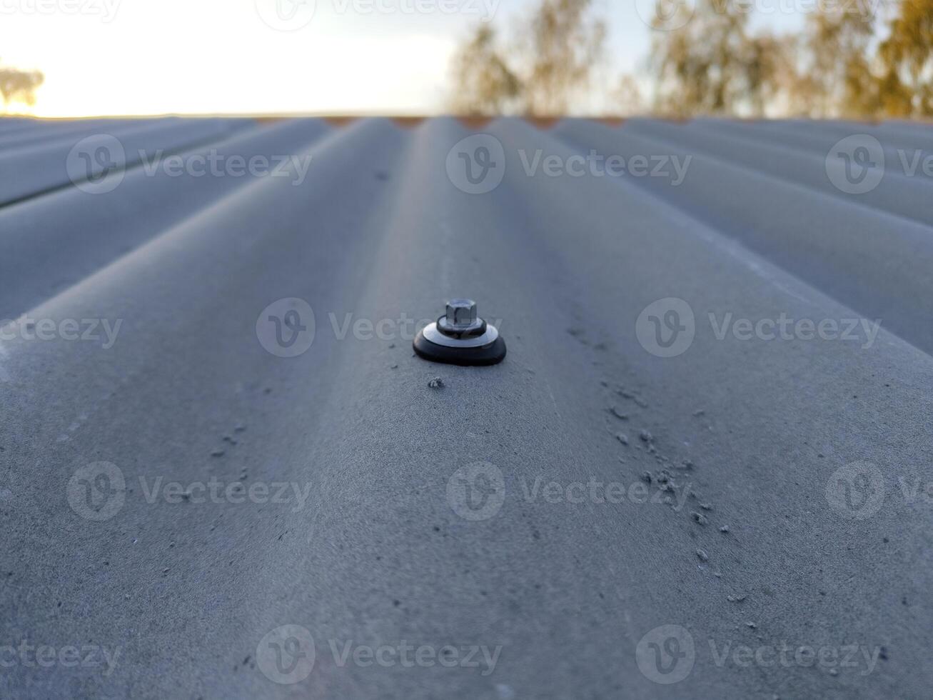 Close-up of metal roof bolt on corrugated surface with blurred tree background photo