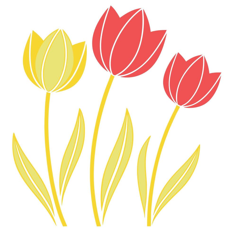 Three Simple Tulips Yellow, Red, Spring Flowers, Floral Design vector