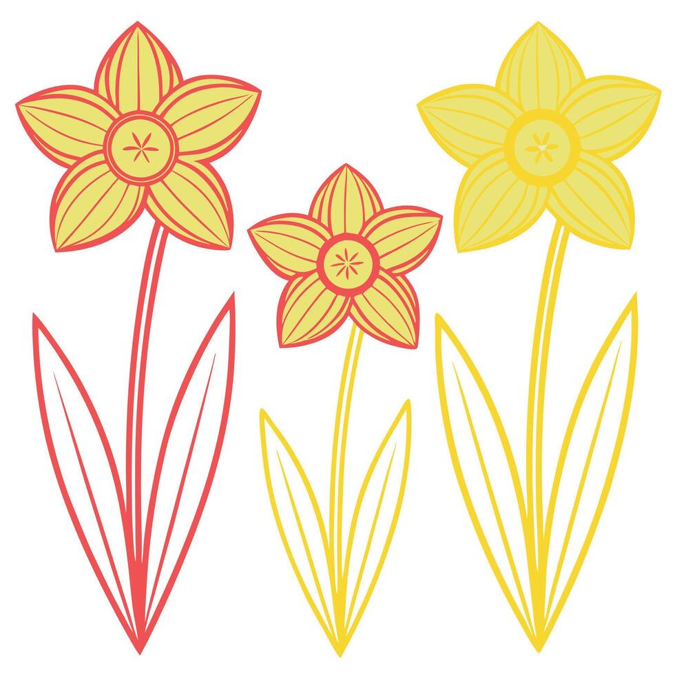 Three Daffodils Spring Flowers Yellow Red Botanical Illustration vector