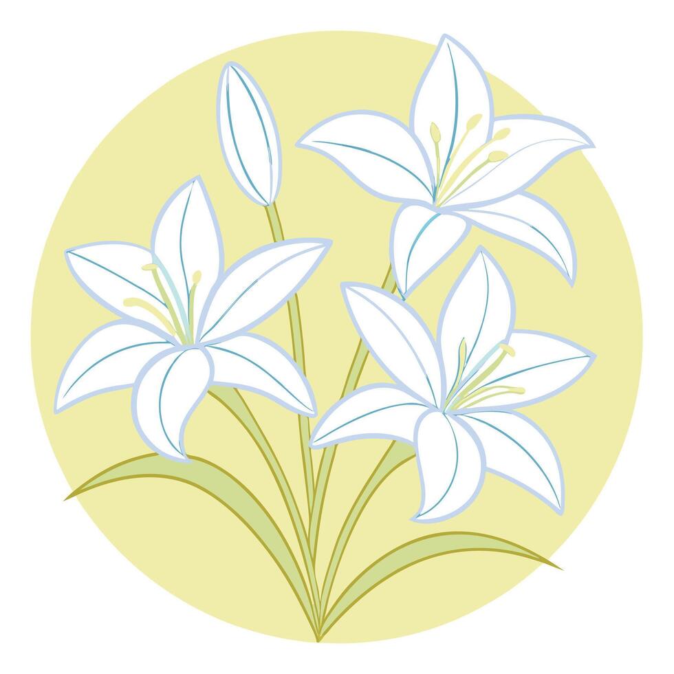 Lily❤️ elegant-white-lily-flower-