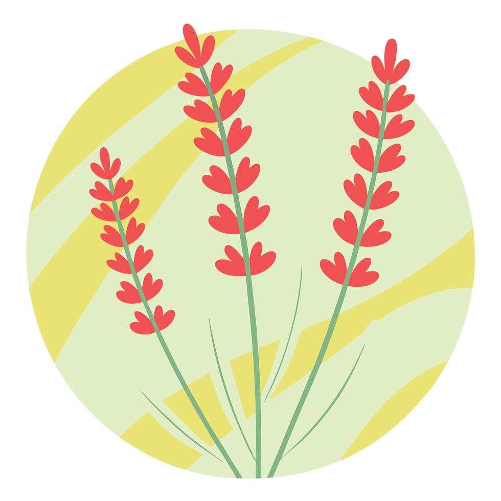 Red Lavender Flowers, Summer Bloom, Floral Design, Botanical Art, Nature Illustration, Springtime Vi vector